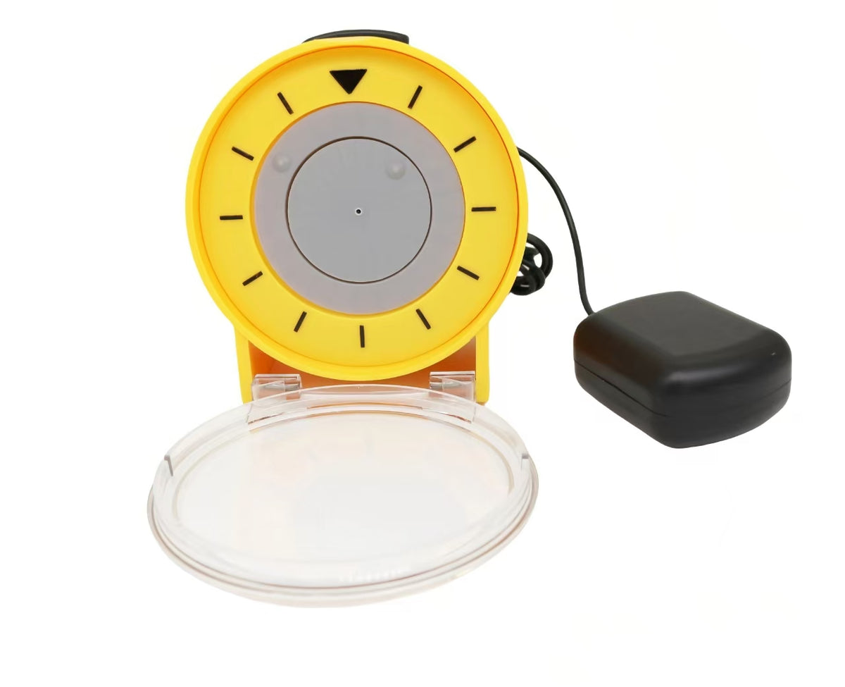 Talking Big Table Clock